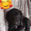 BENCO