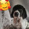TYA