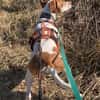 Inka1 sucht ein Zuhause