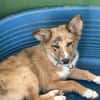 NESKA (Los Reyes)