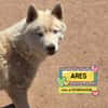 ARES