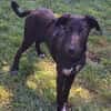 ELYRA -temperamentvoller Wirbelwind-
