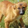 CONNIE 2 sucht Familie