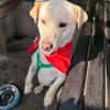 Herzensbrecher Kalle sucht Familie