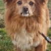 Yuki, sucht ein geduldiges Zuhause