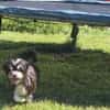 Paula , kleine Prinzessin