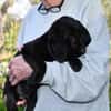 Möchten Sie Sorso ein Zuhause geben?