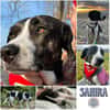 SAHIRA * sensibel und sanft