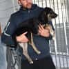 Bricko sucht liebevolles Zuhause
