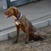 Lola sucht sportliche Menschen