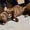 Lola sucht sportliche Menschen