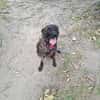 Romy