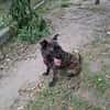 Romy