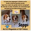 💙 Seppi 💙 sucht seine Menschen