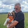 Elsa, süße Cavalier King Charles Hündin