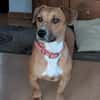 Mira -freundlich und lieb-