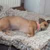 Mira -freundlich und lieb-
