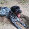 Athos