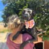 Angel ist ein Traum für jeden Hundebesit