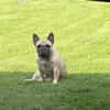 Bella gechillte FrenchyLady