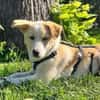 Zarte ♥Tina♥ wartet in 21465 Wentorf