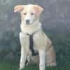 Zarte ♥Tina♥ wartet in 21465 Wentorf