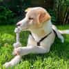 Zarte ♥Tina♥ wartet in 21465 Wentorf