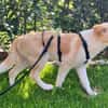 Zarte ♥Tina♥ wartet in 21465 Wentorf
