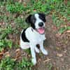 ✨️ TANIN ✨️ 🐶