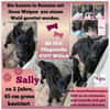 💕Sally💕 sucht ihre Familie