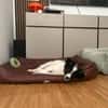 Zaubermaus ❣Mandy❣ sucht ihre Menschen
