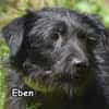 EBEN