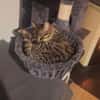 FENIX sucht dringend ein neues Zuhause