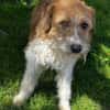 Thor 43 cm 6-8 Jahre