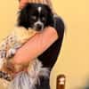 Milky - Zuhause gesucht