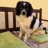 Milky - Zuhause gesucht