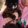 Teddy...Nerina