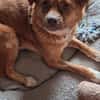 💕Elara 💕 sucht ihre Familie