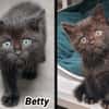 BETTY