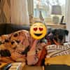 Bonnie, freundlich, ruhig und lieb