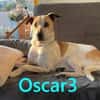 Oscar  NOTFALL