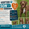 TYSON
