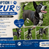AZUR