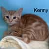 Kenny