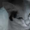 MILKA dit LOUISE