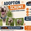 SCHUMY