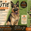TOUTIE