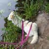 April sucht passendes Zuhause
