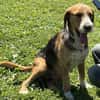 Witziger Tim sucht liebe Familie