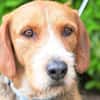 Witziger Tim sucht liebe Familie